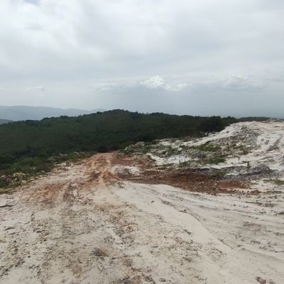 Avanzan en la comprobación de las imágenes satelitales para el mapa de vegetación y uso del semiárido larense