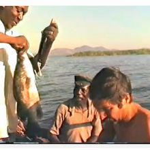 Le fleuve Congo, Zaïre River, épisode #10, Soirée à la Mission de Kikondja, achat de poissons