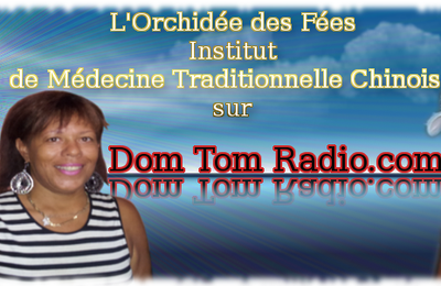 L'Orchidée des Fées sur DomTomRadio.com