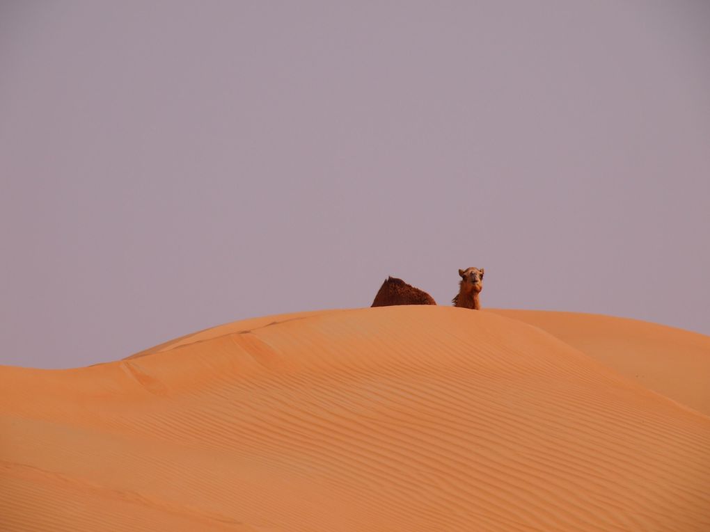 Notre dernier week end dans le desert....