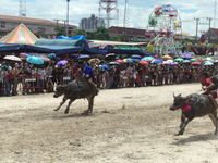 Chonburi Buffalo Racing 2022