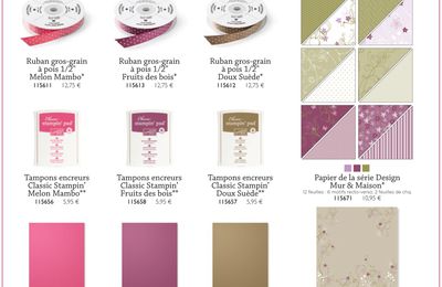 Onze nouveaux produits Stampin'Up!