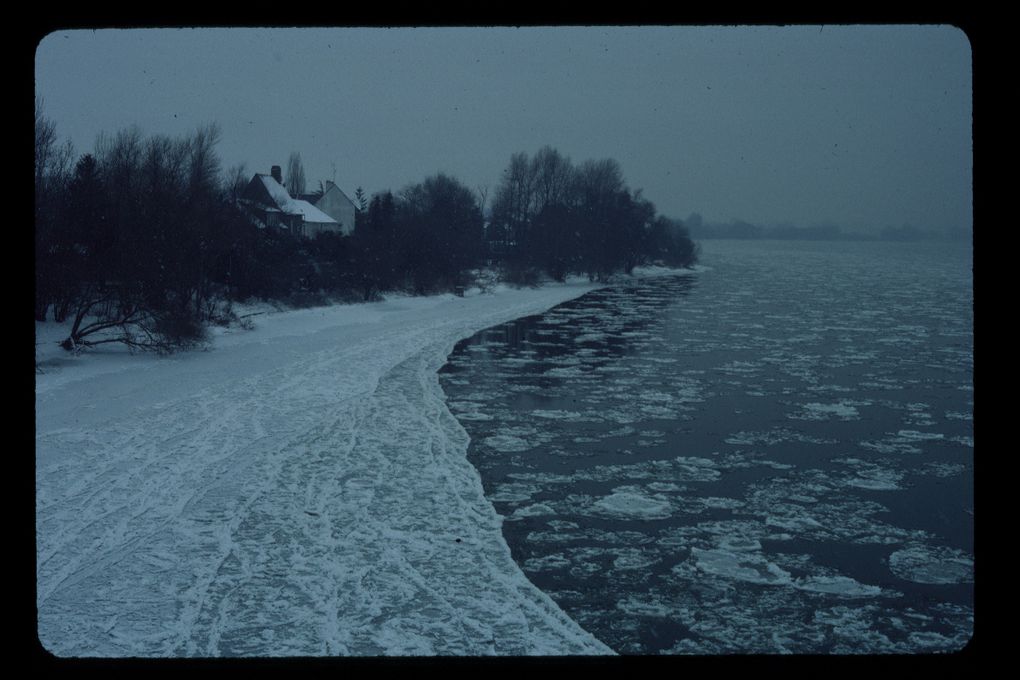 Rivières d'Anjou, la Loire majestueuse et l'océan.