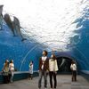 Bigest Fish Aquarium in Japan