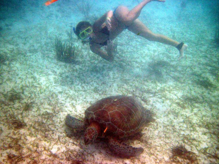 Merci à Dino pour les photos. Diverses images de Tulum, Chichen Itza, Akumal et cenote en excursion!