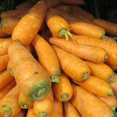 La consommation de carottes par l’industrie agroalimentaire