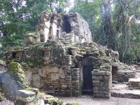 Palenque: beautiful ruins and chikungunya...