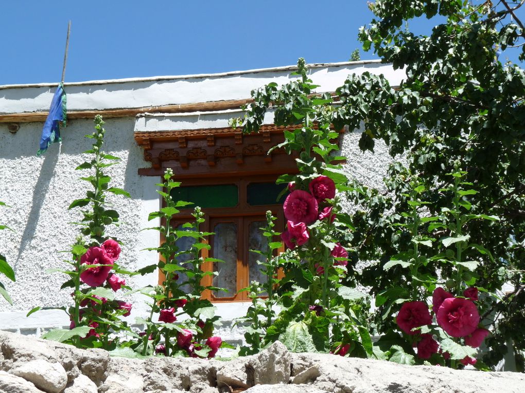 Album - Ladakh-2010