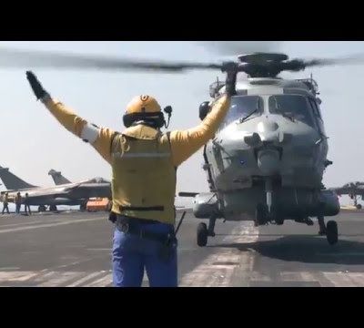 Du jaune pour être plus visibles : les chiens jaunes ...