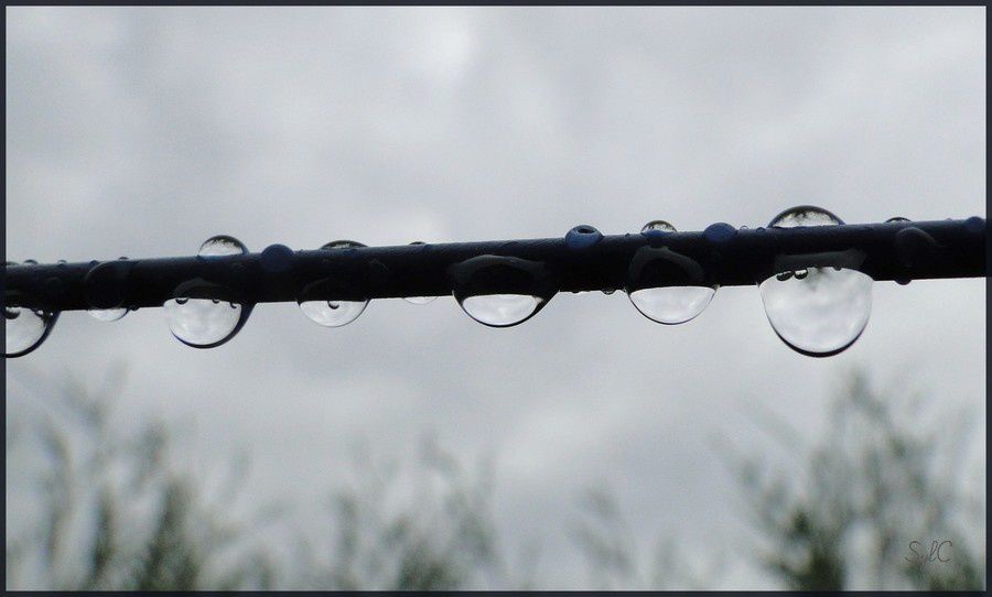 Quelques photos avec de l'eau... (d'autres photos se trouvent se trouvent dans d'autres album)