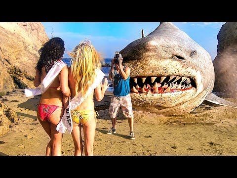 Prehistoric Shark - Film COMPLET en Français