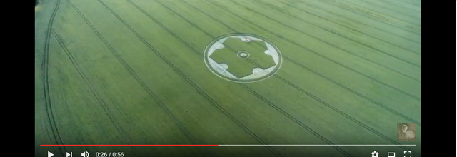 Crop circle en Grande Bretagne le 29 juin 2016