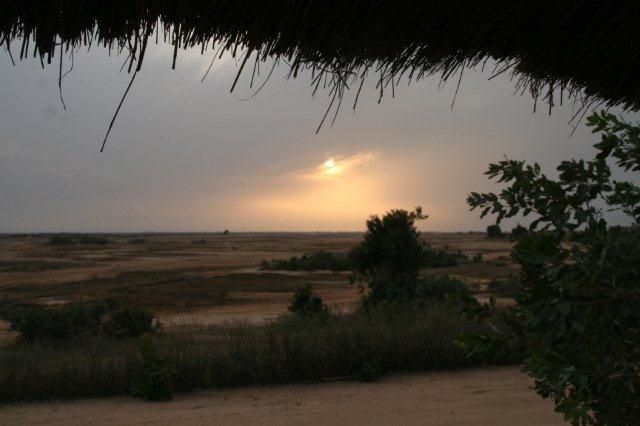 Album - Sine-Saloum-Senegal