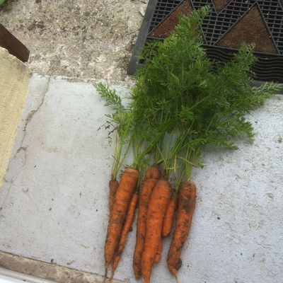 Quand le printemps arrive, la nature se réveille :)