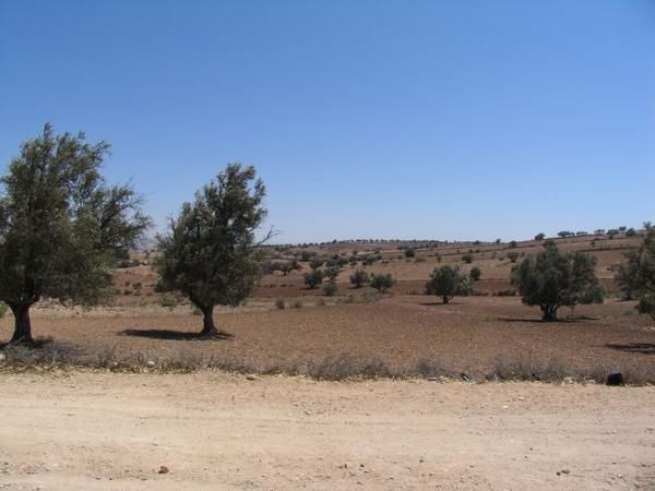 Notre route de Casa à Essaouira en passant par la côte, puis par l'arrière-pays d'Essaouira