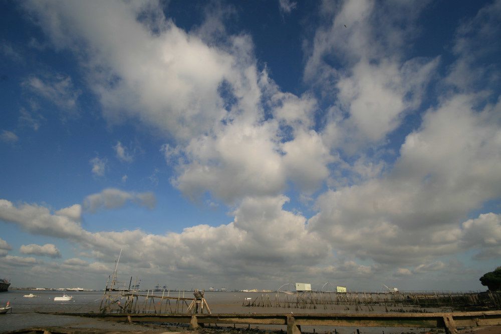 Album - Mindin-Estuaire-de-la-Loire