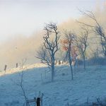 Nous nous tenons dans ce silence stupéfiant