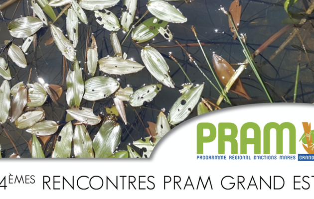 Programme des 4èmes rencontres PRAM Grand Est 2019