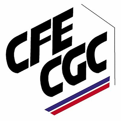 Dynamitage des 35 heures : la CFE-CGC en appellera à l'Europe