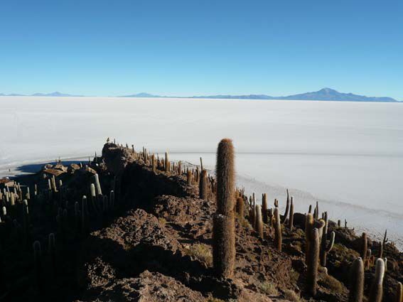 Album - y_LES FILLES:A la conquête du Sud ouest bolivien