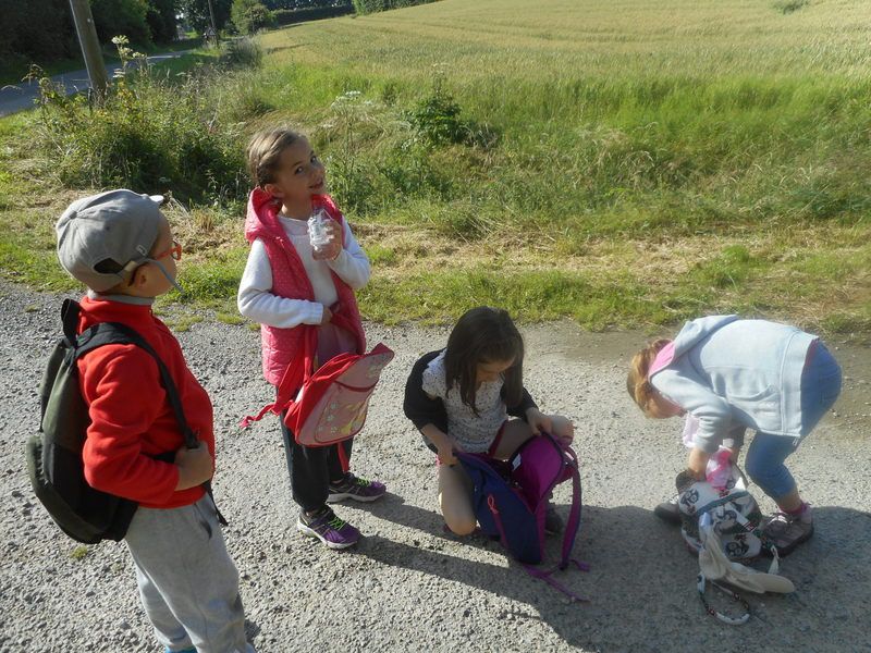 sortie pédestre des CP