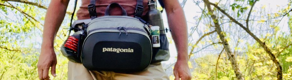 Patagonia Stealth Hip Pack