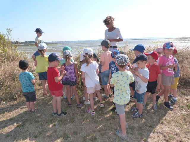 Notre sortie scolaire à Suscinio