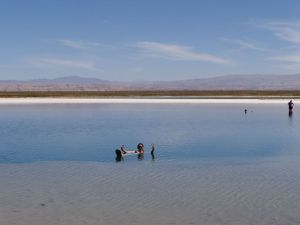 San Pedro de Atacama, un détour inattendu. 