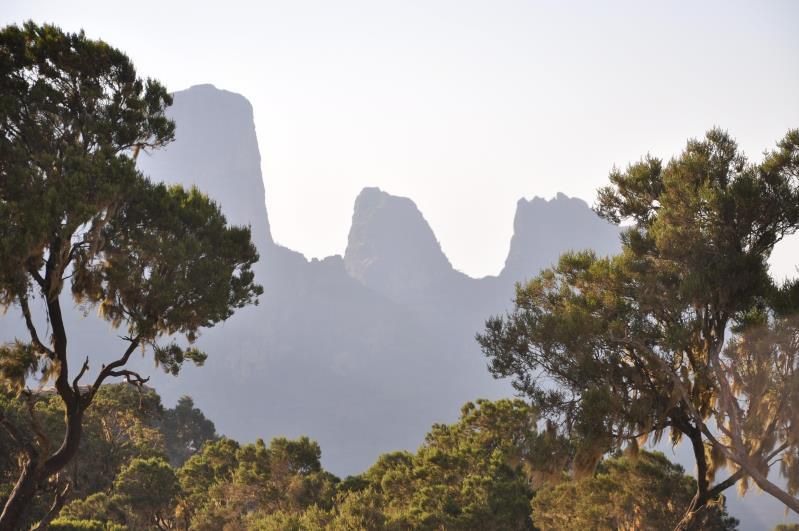 Ethiopie, monts Simien, au camp de Chennek