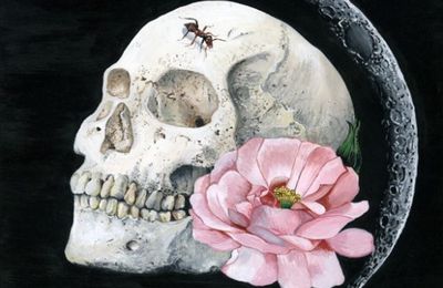 . La vie, la mort et des choses entre by Melissa Hartley.