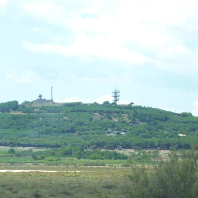 Camping à Marseillan Plage