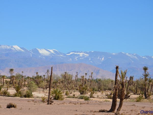 Sur la route de Marrakech (Maroc en camping-car)