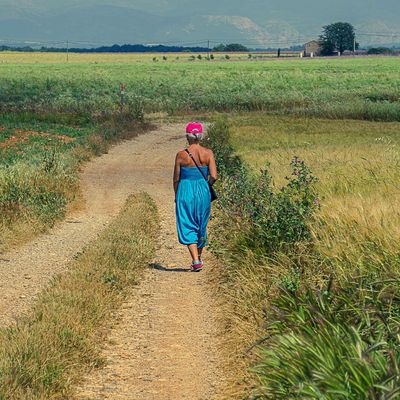 Les chemins de bohême ...