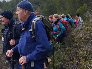 Fasciné(e)s par les vignes et les oliviers de la Petite Rouvière