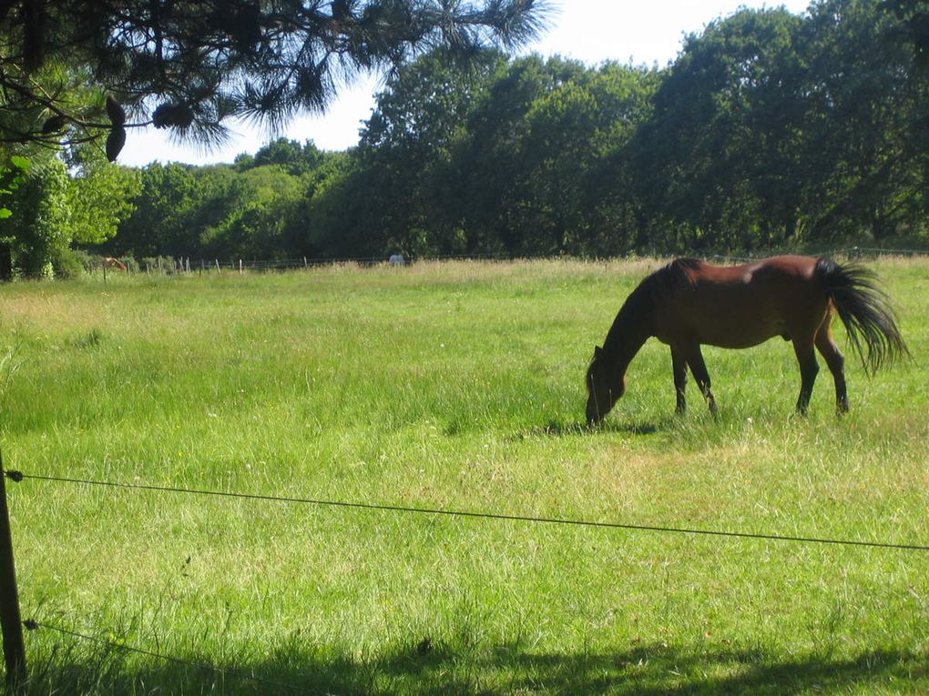 Le sentier de Bereven