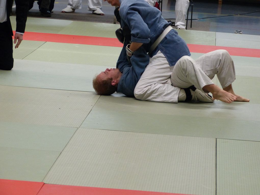 2e partie des photos de la compétition de Nihon Budo du 10 mai 2015 au gymnase des droits de l'Homme à Guyancourt.