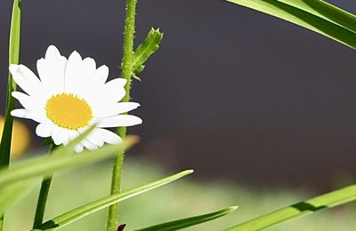 3 différents types de sensibilité. Etes-vous sûr du vôtre ?