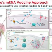 MAJ : Attention danger ! Info aux cobayes : risques liés aux nouveaux #vaccins anti #Covid-19 ayant recours aux technologies #OGM - MOINS de BIENS PLUS de LIENS