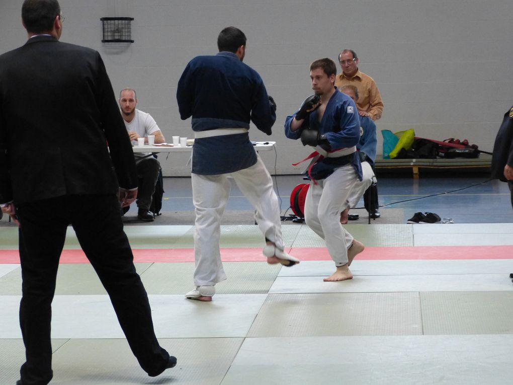 2e partie des photos de la compétition de Nihon Budo du 10 mai 2015 au gymnase des droits de l'Homme à Guyancourt.