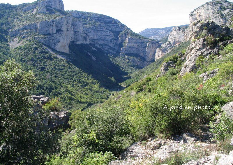 Album - st-guilhem-le-desert--navacelles