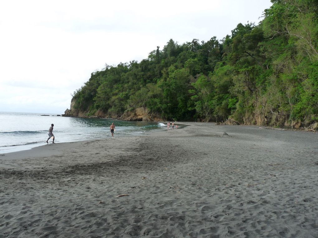 Album - Martinique 2011 - Plages