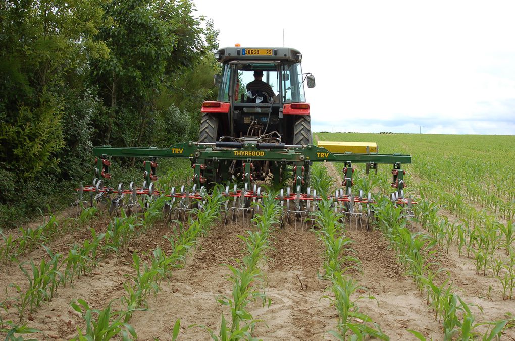 Album - ferme-ouverte-2008-Combrit