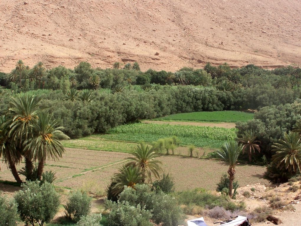 Album - Voyage-au-Maroc