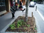 Montreuil encourage la nature en ville