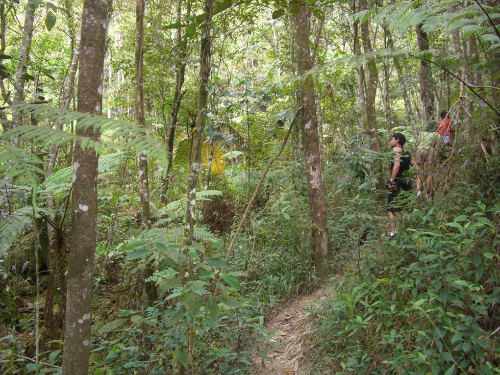 Dans l'intérieur de l'état de Bahia, une succession de plateaux... Et un trekking : la vallée do Pati