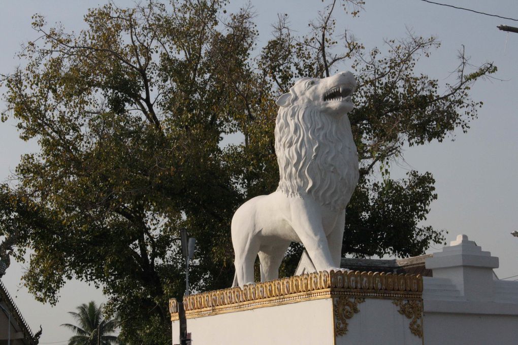 Nord de la Thailande, ou l'on peut voir : Thailande, Laos et la Birmanie.