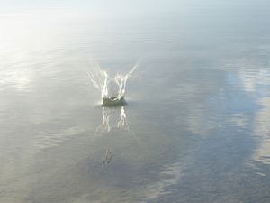 Crépuscule sur le lac d'Orient