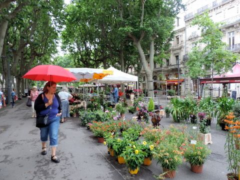 Le marché aux fleurs sous la pluie