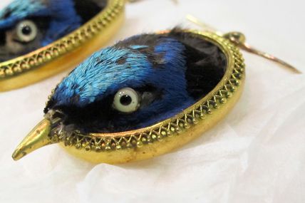 Bijoux méconnus: Les bijoux avec des animaux empaillés (2/?)