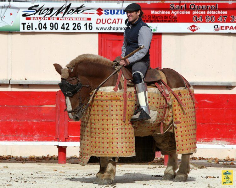 St-Martin-de-Crau Samedi 8 octobre 1011 Journée du Revivre de la Feria de la Crau Tienta de macho et de vacas et Lidia de 4 toros Ganaderias : Giraud-Malaga-Yonnet